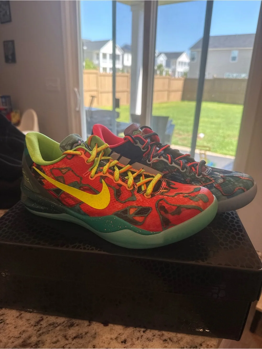 Kobe VIII Protro What The